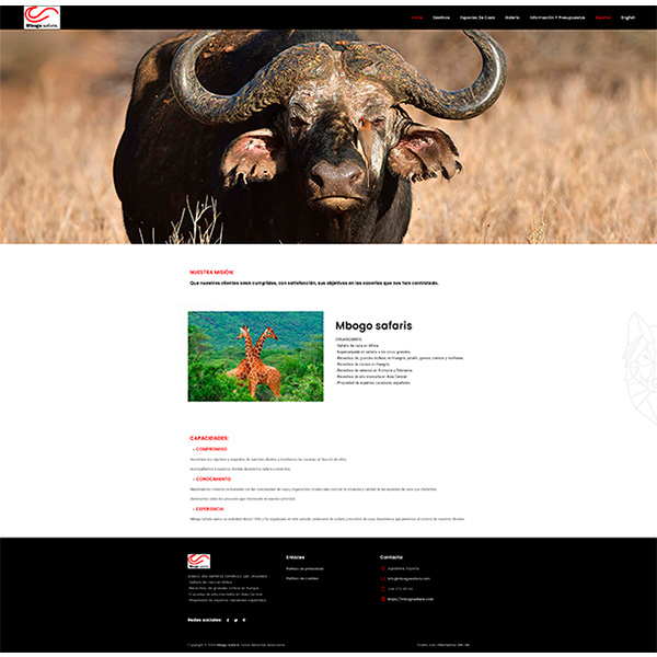 Mbogo Safaris
